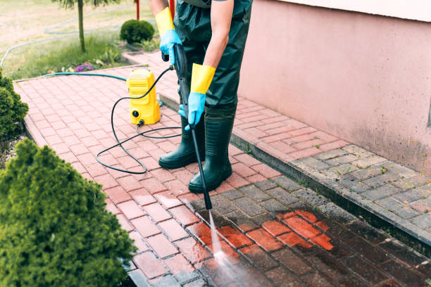 Best Spring Cleaning  in Harbor Bluffs, FL