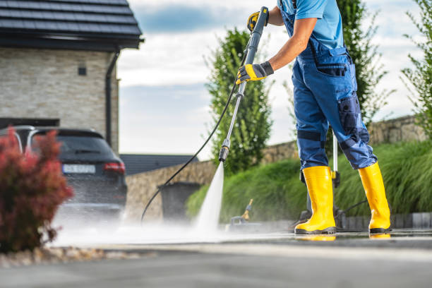 Best Driveway Pressure Washing  in Harbor Bluffs, FL
